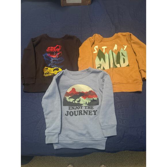 GUC Garanimals Lot of 3 Boy's Long Sleeve Sweatshirts Dinosaurs Stay Wild Sz 2T - Picture 1 of 2